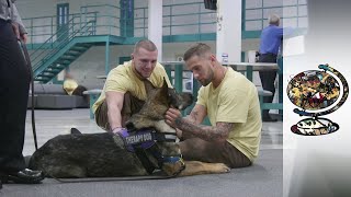 Is Jail the Answer to America's Opioid Epidemic?