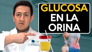 HIGH GLUCOSE in blood and GLUCOSE IN URINE