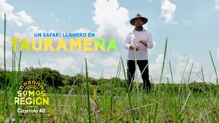 Somos Región: Un safari llanero en Tauramena