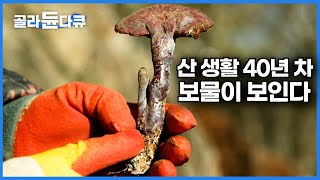 도심에선 구경도 못 하는 산속 널려 있는 자연산 불로장생 보물들｜자연에 집중하니 보이는 금은보화ㅣ한국기행│#골라듄다큐