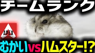 【ランク】みんなで30キル！ラストむかいvsハムスターのタイマン！？【Apex Legends】