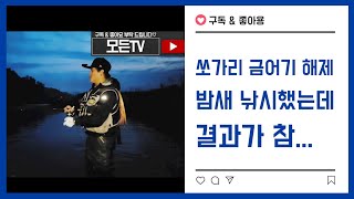 [모든TV] 연천군 쏘가리 금어기 해제 밤새 쏘가리낚시 결과가 참..#쏘가리 #임진강 #한탄강 #모든tv #라이브 #연천군 #낚시 #초보 #캠핑