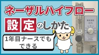 【1年目でも分かる】ネーザルハイフローの設定のしかた