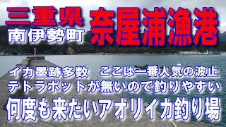 #2三重県奈屋浦漁港何度も来たいアオリイカ釣り場イカ墨跡多数テトラポットが無いので釣りやすい海がきれいな規模の大きい漁港ファミリー家族連れサビキ釣りに良い人気の波止アオリイカ夜釣に良い波止