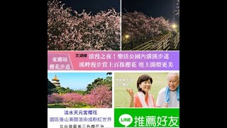 2024樂活夜櫻季「夜光電櫻」｜上百株寒櫻/八重櫻/昭和櫻/吉野櫻綿延3公里！徜徉粉色櫻花河畔大道綻放至2/29