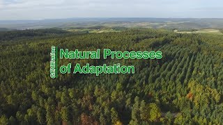 GENEration 05 – Natural Processes of Adaptation