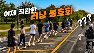 어제 직관한 문제의 러닝 동호회