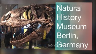 Naturkunde Museum Berlin | 150 million years old Dinosaur Skeleton | Guiness Book Record