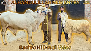 HSM Vlogs MASHA ALLAH ALHAMDULILLAH NEW ENTRY AUR BACHRO KI DETAIL VIDEO PART 1