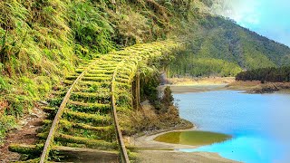 太平山翠峰湖 見晴懷古步道～台灣唯一入選全球最美28條小路之一(Taiping Mountain National Forest Recreation Area)