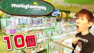 「モーリーファンタジー」クレーンゲーム10個とるまでおわれまテン‼レイクタウン店