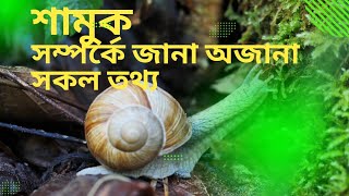 শামুক সম্পর্কে জানা-অজানা সকল তথ্য।। All known and unknown information about snails.