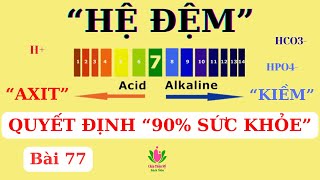 90% Không Hiểu  “HỆ ĐỆM” Là Quý Nhân Phù Trợ Sức Khoẻ (Kể Cả Bạn) | Acid - Kiềm - Hệ Đệm (Phần 2)