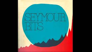 Seymour Bits - 'Spectacular' feat. Die Antwoord  #11 Seymour Bits