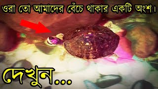 আমরা সবাই প্রাণীদের প্রতি সহায় হবো। ওরা তো আমাদের বেঁচে থাকার একটি অংশ। দেখুন...