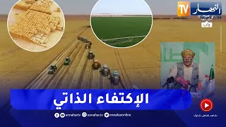 الشيخ النوي: أولاد الجزائر شعارهم العمل والأمل.. خيرات الصحراء تخرج للعلن