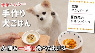 人間も一緒に食べられる手作り犬ごはん「豆腐ハンバーグと夏野菜のチキンポトフ」【簡単でヘルシーなレシピ】