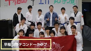 【サークル紹介＃5】早稲田ITFテコンドークラブ【武道サークル】【テコンドー】【貴重な体験をしたい人】