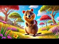 Quincy the Quokka’s Big Adventure - Kids Picture Story Book