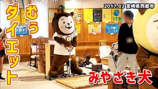 【みやざき犬】ダイエットむぅ (201702)