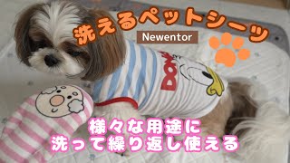 【ペット用品】使い捨てシーツ不要！？Newentorの洗えるペットシーツをご紹介！