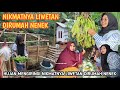 NIKMATNYA LIWETAN DIRUMAH NENEK KETIKA HUJAN, Auto Makannya Ngalimed PEDO EUY‼️