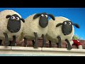 if you can t stand the heat shaun the sheep season 1 full episode