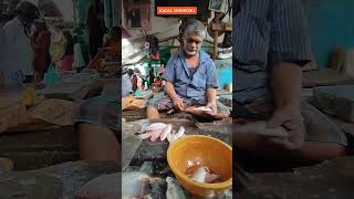 FRESH SANKARA FISH CUTTING SKILLS 🔥| SANKARA FISH CUTTING #shorts #sankarafish #seafood #fishing