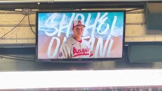 大谷翔平さんに会いたい！　エンゼルス　スタジアム🏟メンバー紹介