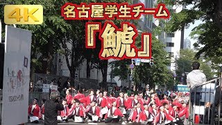 2019 6/8 名古屋学生チーム 鯱 1パレ目 YOSAKOIソーラン祭り YOSAKOI SORAN Festival