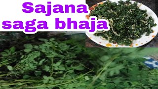 ଏହି ସିକ୍ରେଟ ଜିନିଷ ଦେଇ ସଜନା ଶାଗ ଭଜନ୍ତୁ ହାତ ଚାଟି ଖାଇବେ  |sajana saga recipe odia|