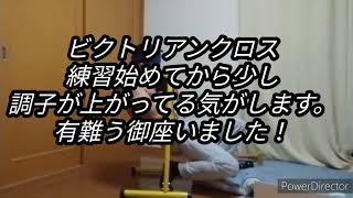 【フロントレバー練習】もう少しって所ですかね〜って感じ