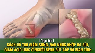 CÁCH HỖ TRỢ GIẢM SƯNG, ĐAU NHỨC KHỚP DO GÚT, GIẢM ACID URIC Ở NGƯỜI BỆNH GÚT CẤP VÀ MẠN TÍNH