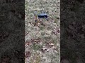 mavic 3 printed rough terrain landing feet test v1