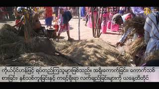 အနောက်ပိုးကရင်အကြောင်း တစ်စေ့တစ်စောင်း