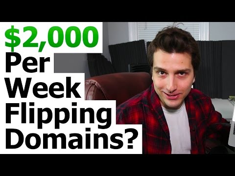 Domain Name Flipping - A $2000 a WEEK Online Business Domain Name Flipping - A $2000 a WEEK Online Business