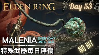 Elden Ring Malenia SOLO No Damage Everyday until DLC | Day 53 Coil Shield