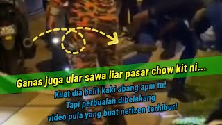 Kenapa Dia Belit? Dia Kan Sawa! Video Abang Apm Tangkap Sawa Di Chow Kit Buat Netizen Gelihati