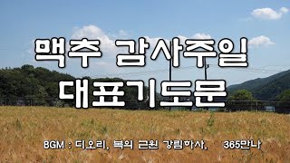 2024 맥추 감사주일 대표기도문 | 7월 첫째 주일 예배 대표 기도문 | 맥추감사절성경말씀 | 복의 근원 강림하사