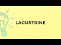 what is the meaning of the word lacustrine