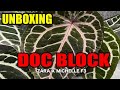 Unboxing Anthurium Doc Block Michelle x Zara F3