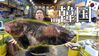 [Overseas] Korean markets full of rare fish! Filleting with ‘Korean Kimagure Cook.’