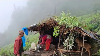 Most Relaxing Nepali Mountain VilIage Daily Activities of himalayan Village People |Rainy Day Real