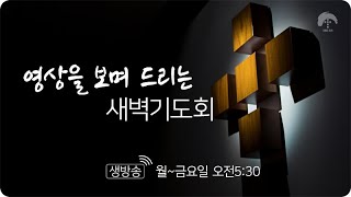 [큰나무교회]함께울고웃읍시다_새벽기도회20240627_목사전민성