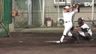 2016甲子園目指す31校 小松島高校野球部