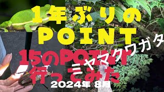 【昆虫採取】15POINTミヤマクワガタ探し