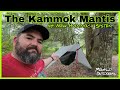 My New Hammock System| Ultralight #hammockcamping #backpacking #ultralight