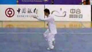 tai chi winner 9th world wu shu championships