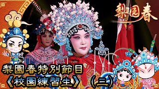 梨園春 2017年第24集 ：梨園春特別節目《校園練習生》（三）