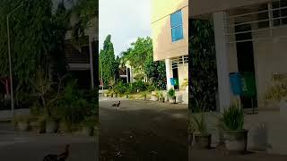 Vlog #9 Keliling area Kampus ISI Jogja - Rika ricardo